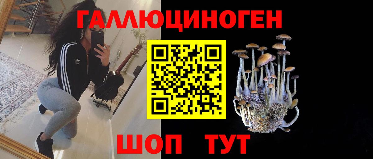Псилоцибиновые грибы прущие грибы Соль-Илецк